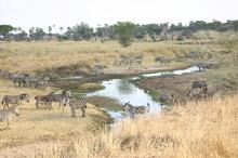 im Tarangire Nationalpark